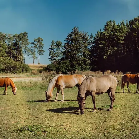 Friedrichshof 3* オーバートルバッハ