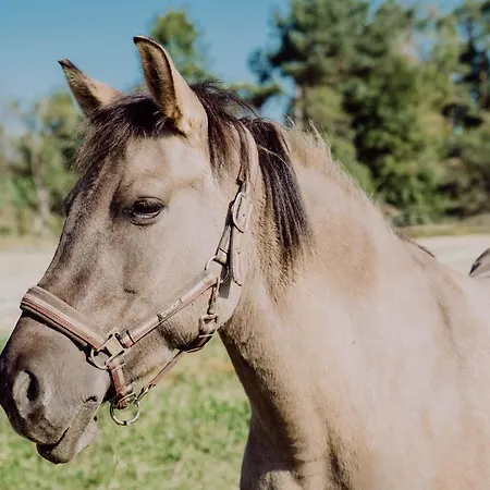 Friedrichshof ゲストハウス