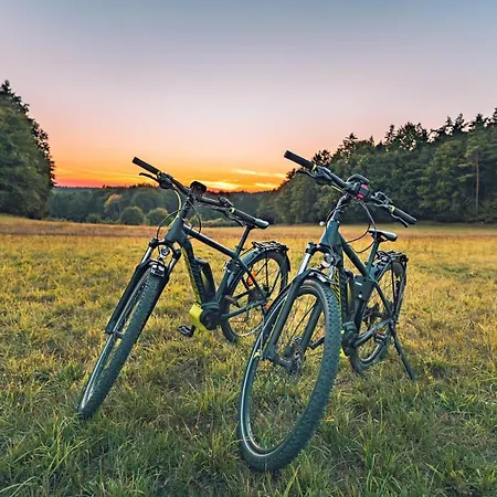 Friedrichshof ゲストハウス