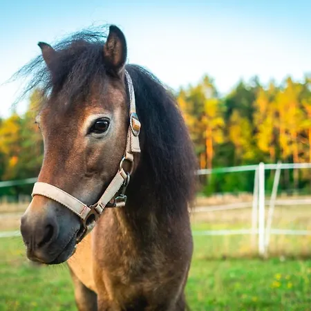 ゲストハウス Friedrichshof オーバートルバッハ
