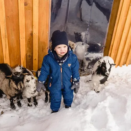 Friedrichshof 3* オーバートルバッハ