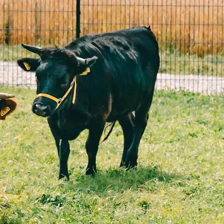 Friedrichshof オーバートルバッハ