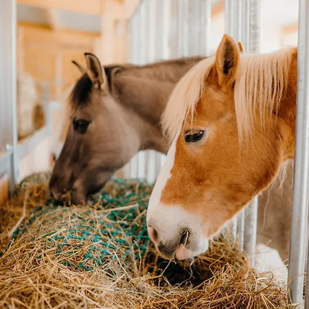 ゲストハウス Friedrichshof オーバートルバッハ